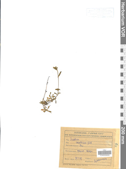 VOR 0006689