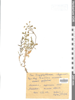 VOR 0006658