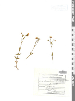 VOR 0006660