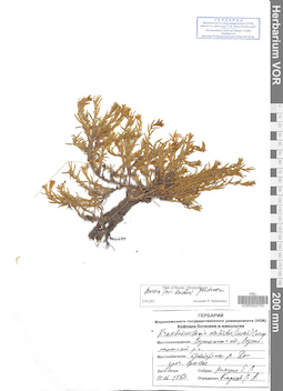 VOR 0022753