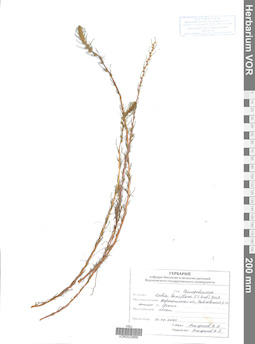 VOR 0023666