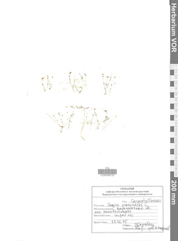 VOR 0006720