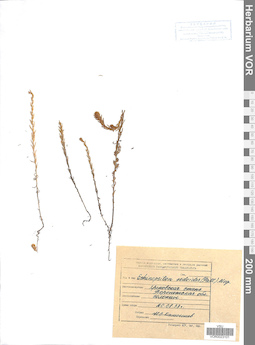 VOR 0023101