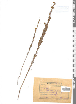 VOR 0023098