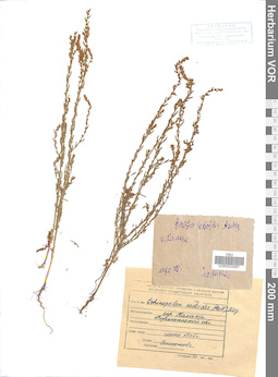 VOR 0023097