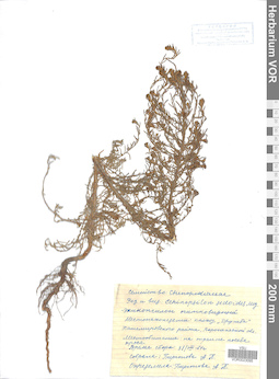 VOR 0023095