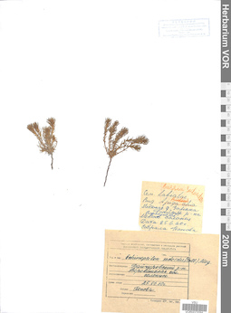 VOR 0023094
