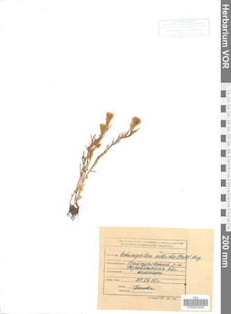 VOR 0023093