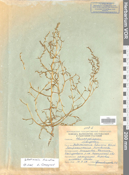 VOR 0023129