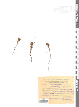 VOR 0023092