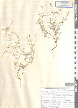 VOR 0023128