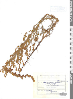 VOR 0023088