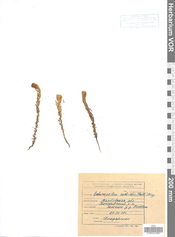 VOR 0023087