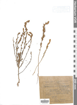 VOR 0023086