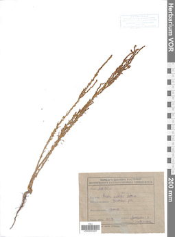 VOR 0023081
