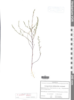 VOR 0041476