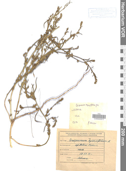 VOR 0022673