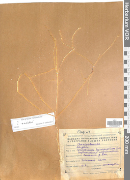 VOR 0022672