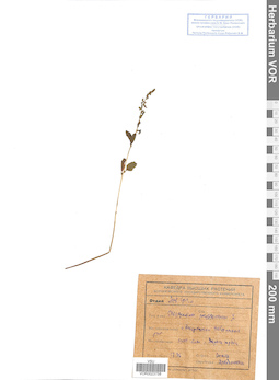 VOR 0023758
