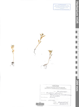 VOR 0024492