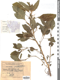 VOR 0023347