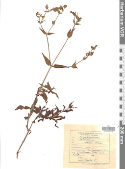 VOR 0008108