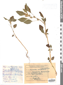 VOR 0023341
