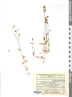 VOR 0006589