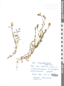 VOR 0006620