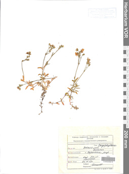VOR 0006618