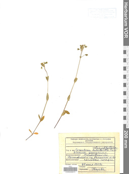 VOR 0006673