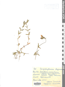 VOR 0006630