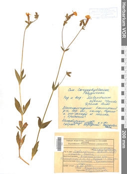 VOR 0008076