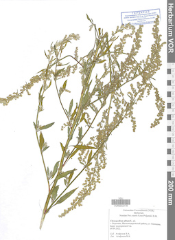 VOR 0042178