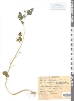 VOR 0026068