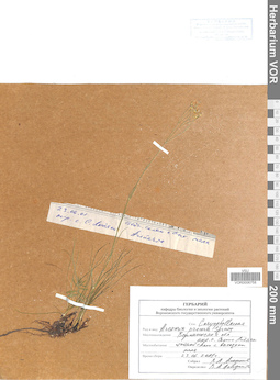 VOR 0006758