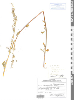 VOR 0024433
