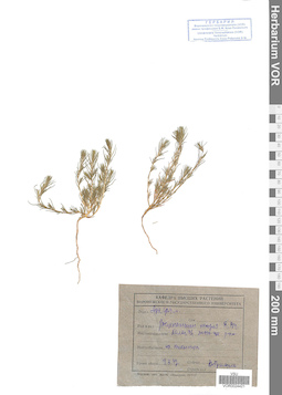 VOR 0024421