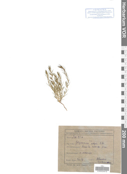 VOR 0024419