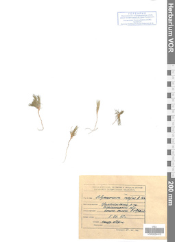 VOR 0024415
