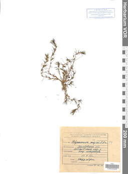 VOR 0024408