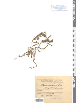 VOR 0024401