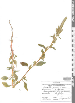 VOR 0023385