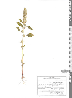 VOR 0023380