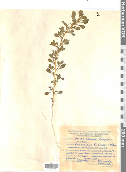 VOR 0023289