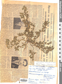 VOR 0023284