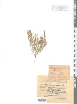 VOR 0024399