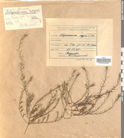 VOR 0024388