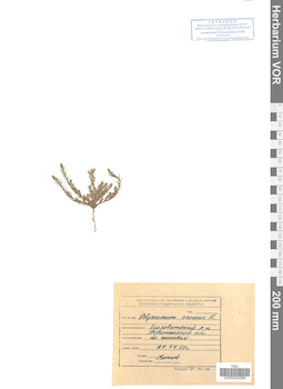 VOR 0024380