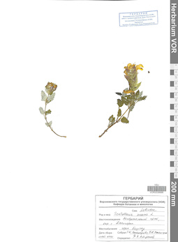 VOR 0039996